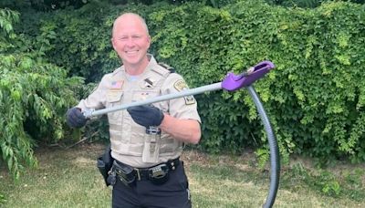 'Slytherin suspect': Snake discovered in Goodwill donation box in Virginia