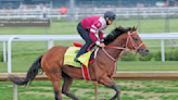 Handicappers make their picks for the Kentucky Derby
