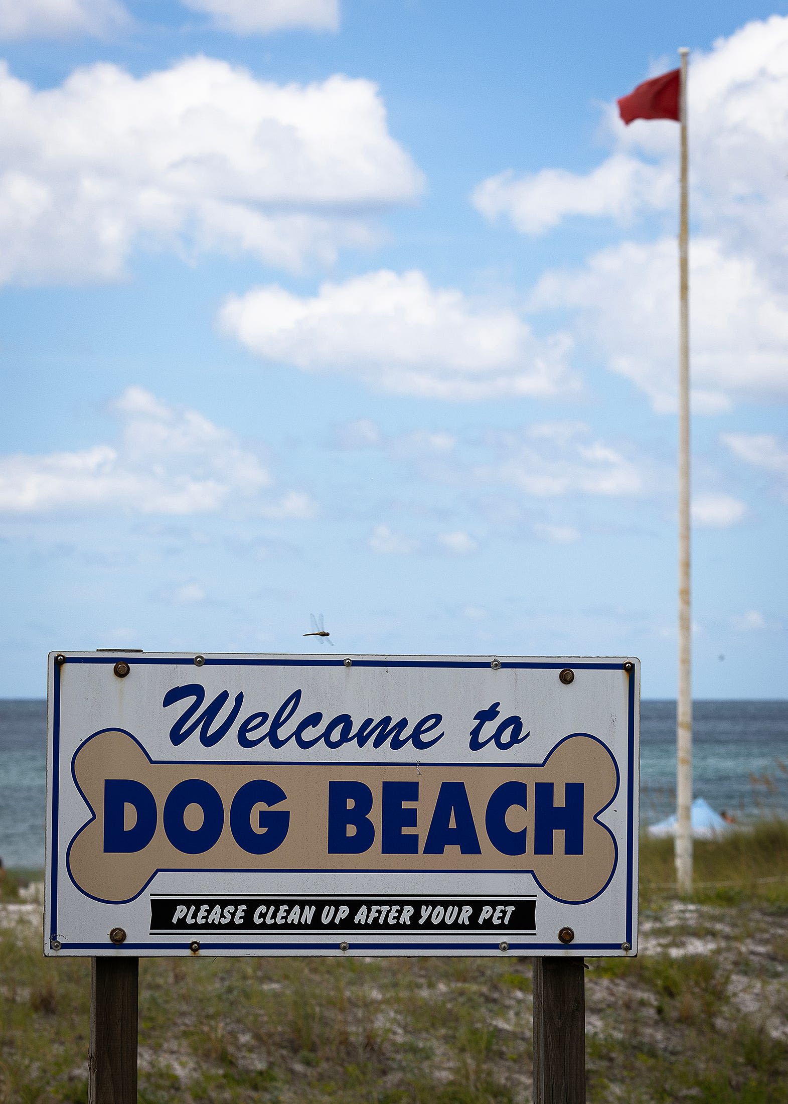 Hurricane Debby lowers Bay County wave heights, giving a mistaken impression of calm surf