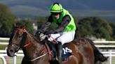 In-form Athea trainer enjoys success at Killarney and Downpatrick