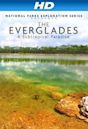National Parks Exploration Series: The Everglades - A Subtropical Paradise