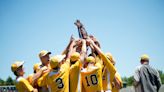 Flashback 2014: Repeat titles send Bay City Western baseball into new stratosphere