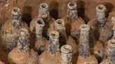 Scientists 'blown away' by incredible 250-year-old discovery in wine cellar