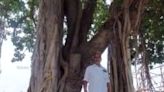 Meet Abu Baker, The 62-year-old 'Guardian' Of Madurai's 105-year-old Banyan Tree - News18