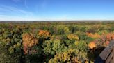 15 spots to see fall colors in the Milwaukee area