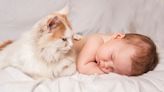 Woman Runs Experiments to Debunk Old Wives' Tale About Cats and Babies