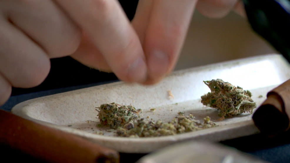 22 Investigates: What are the health risks for marijuana