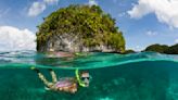 Palau: diving in a tropical Pacific paradise