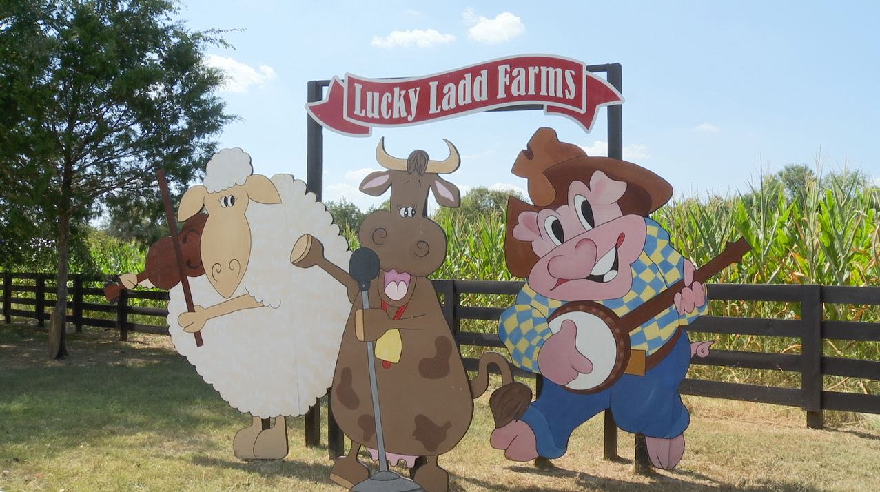 Lucky Ladd Farms closes due to storm damage