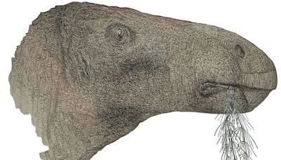 New species of dinosaur that lived 125 million years ago identified in England