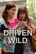 Driven Wild