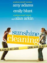 Sunshine Cleaning