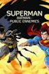 Superman/Batman: Public Enemies