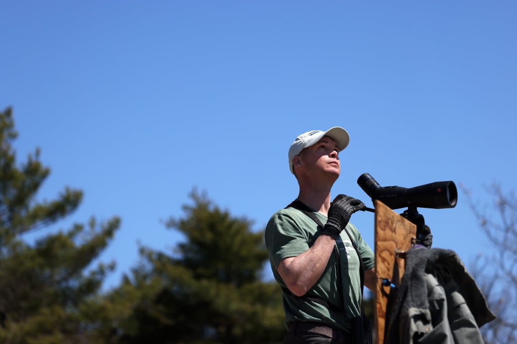 Rapt tour group: Bird-watchers gather on Bradbury Mountain for a day of education on birds of prey