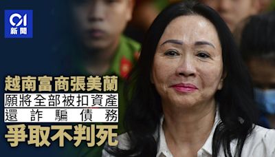 越南富商張美蘭豪擲巨額資產還詐騙債務 爭取不判死刑