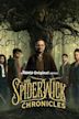 The Spiderwick Chronicles