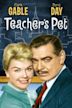 Teacher's Pet