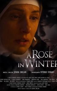 A Rose in Winter