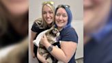 Utahns reunited with pet cat they accidentally shipped with Amazon return