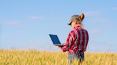 6 Best Farm Accounting Software for 2024