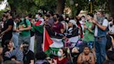 'Our university will not be occupied': UT president says pro-Palestinian protest was prohibited