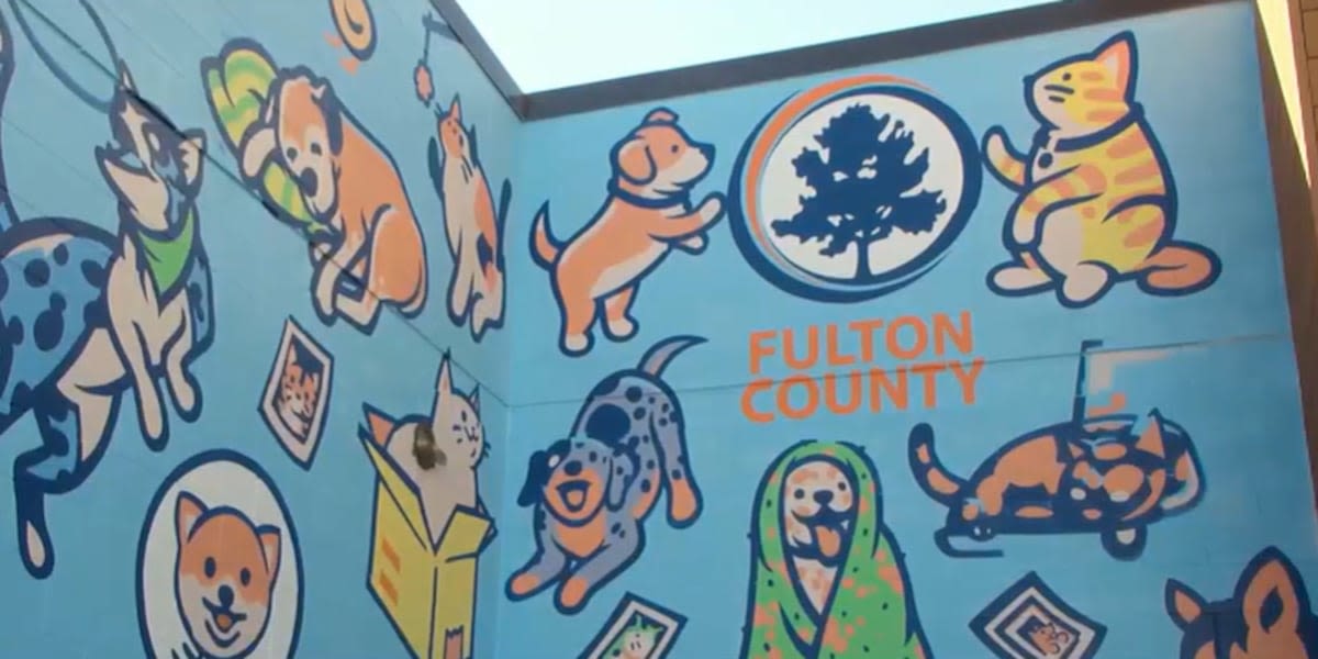 Pet adoptions free until Sept. 10 at Fulton County Animal Services