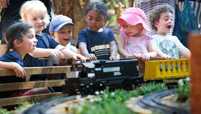 You can now ride a train through a lovely oak grove at Descanso Gardens