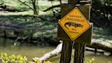 Crocodile attack: Remains found of 12-year-old girl attacked while swimming in remote Australian creek