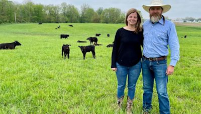 Honey Creek Beef farm's success spurred by focus on animal comfort, genetics and feed