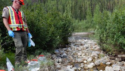 4 days after Eagle mine slide, Yukon gov't still 'not clear' on damage, or possible cyanide release