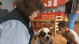 Selfless Among Us: Therapy Dog Trainer and Volunteer Wendi Pencille