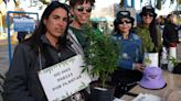 Neuquén y Río Negro se sumaron a la Marcha Mundial de la Marihuana: los ejes del reclamo