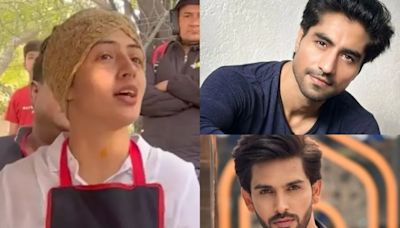 Bigg Boss OTT 3 Tentative Contestants List: Harshad Chopra to Shehzada Dhami & More