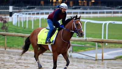 Kentucky Derby: Which names are prohibited for racehorses?