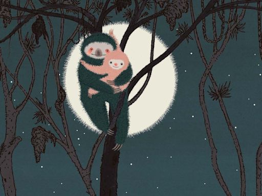 When Baby Sloth tumbles out of a tree, Mama Sloth comes for him — s l o w l y