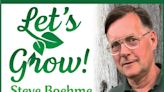 Let's Grow: Your Boxwood shrubs need protection NOW!