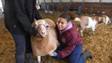 Historically Black college hopes to be second to train veterinarians. Why it matters.