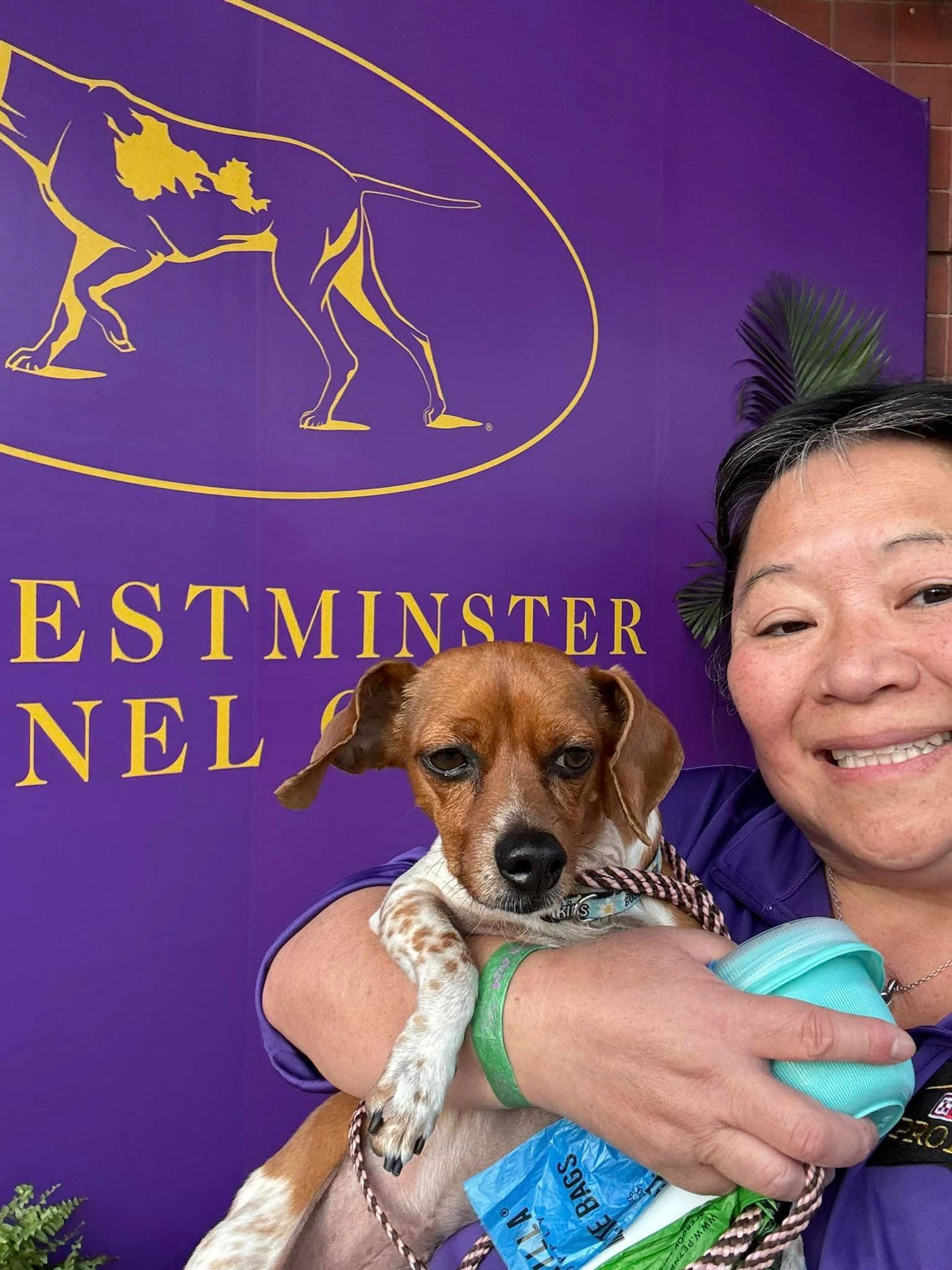 Wilmington woman and her All-American dog achieve big marks at Westminster competition