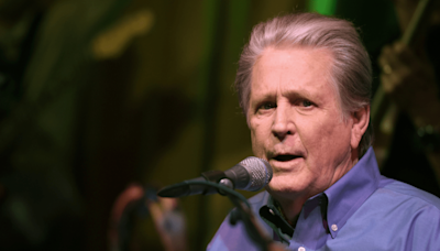 Brian Wilson Placed in Conservatorship Months After Wife's Death