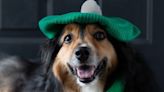 The Best St. Patrick's Day Captions for All Your Instagram-Worthy Shenanigans