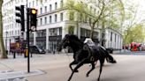 Witness recalls chaos as blood-soaked horses ran loose through London