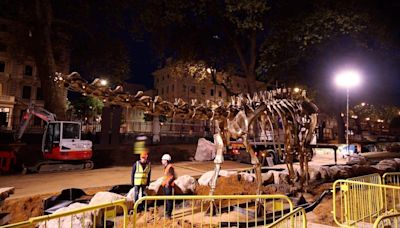 RAW VIDEO: Fern The Diplodocus Crowns Natural History Museum's New Gardens 2/2