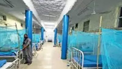 Karnataka govt instructs hospitals to reserve beds for dengue patients in Bengaluru - ET HealthWorld