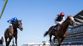Goodwood rematch on cards for Gold Cup one-two Kyprios and Trawlerman - plus City Of Troy entered for Juddmonte at York