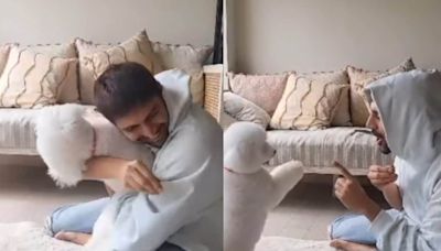 Kartik Aaryan Drops An Adorable Video With His Pet Katori, Says ‘Missing My Bowl Of Love’; Watch - News18