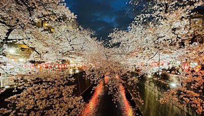 東京都政府斥資推動光雕投影 擴大夜間觀光經濟效益