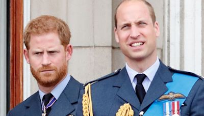 William and Harry's former employee details mishaps behind the scenes