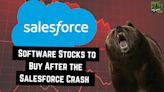 Salesforce Shares Crashed This Week: Is It Time to Flee Software Stocks?