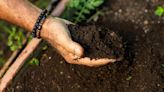 Celebran el Día Internacional de la Tierra