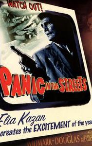 Panic in the Streets (film)